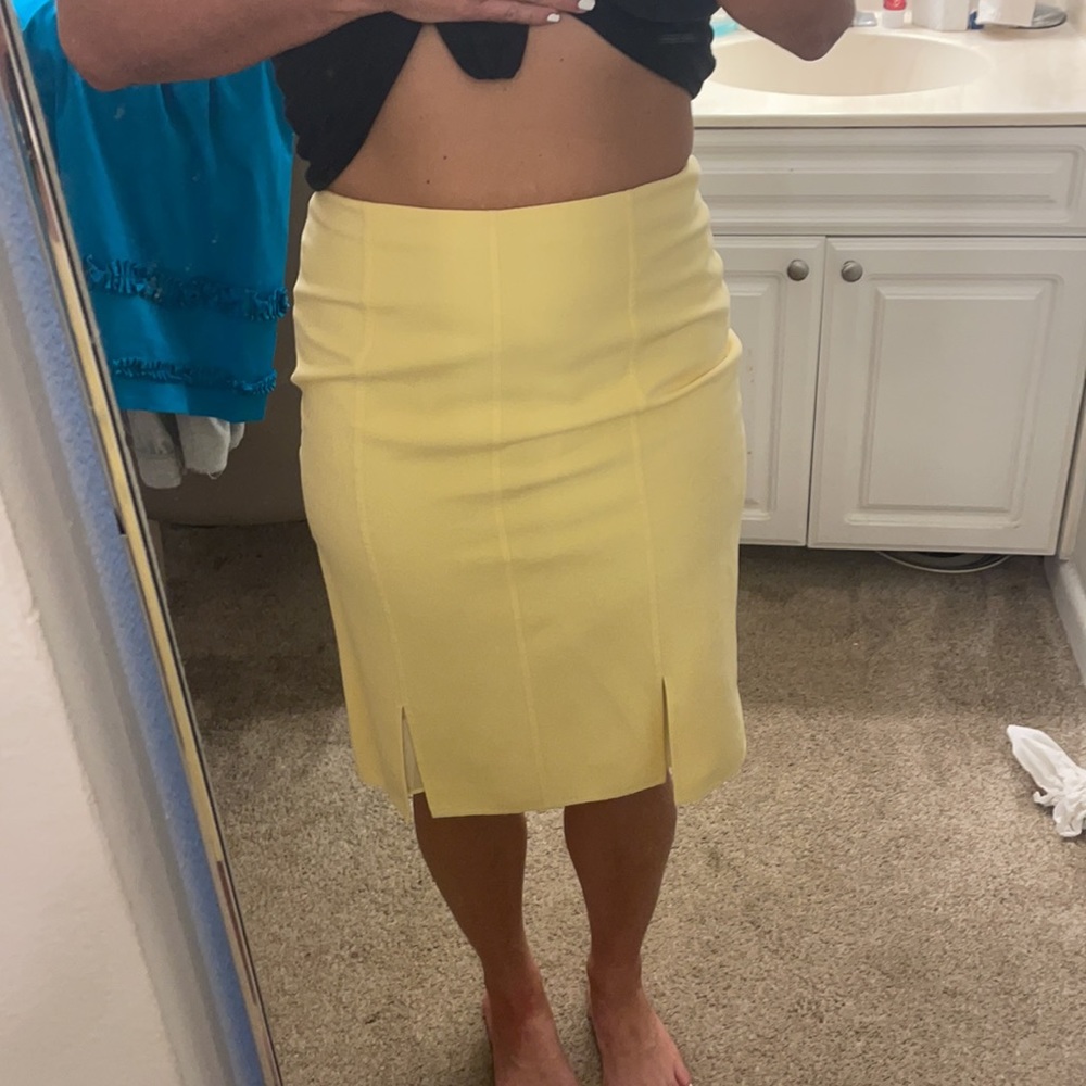Carlisle Pencil Skirt
